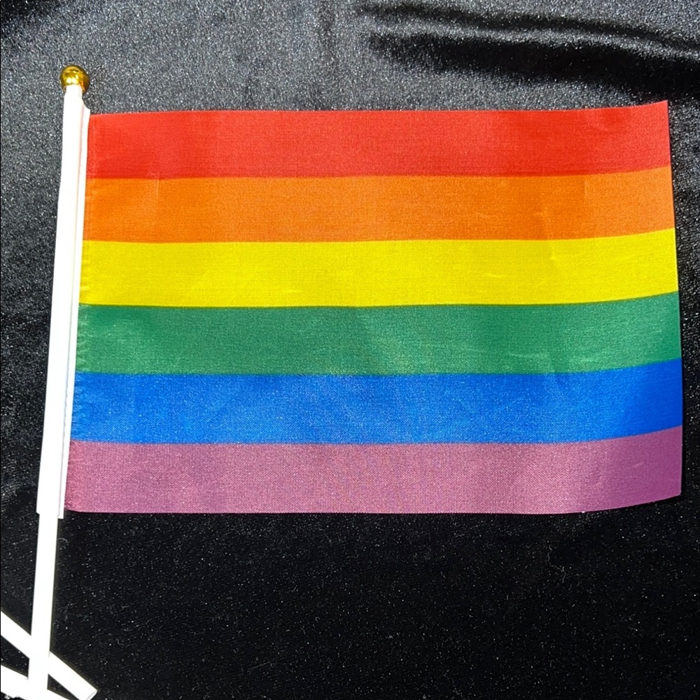 6 Rainbow Pride Flags